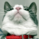 OliBHolmes's avatar