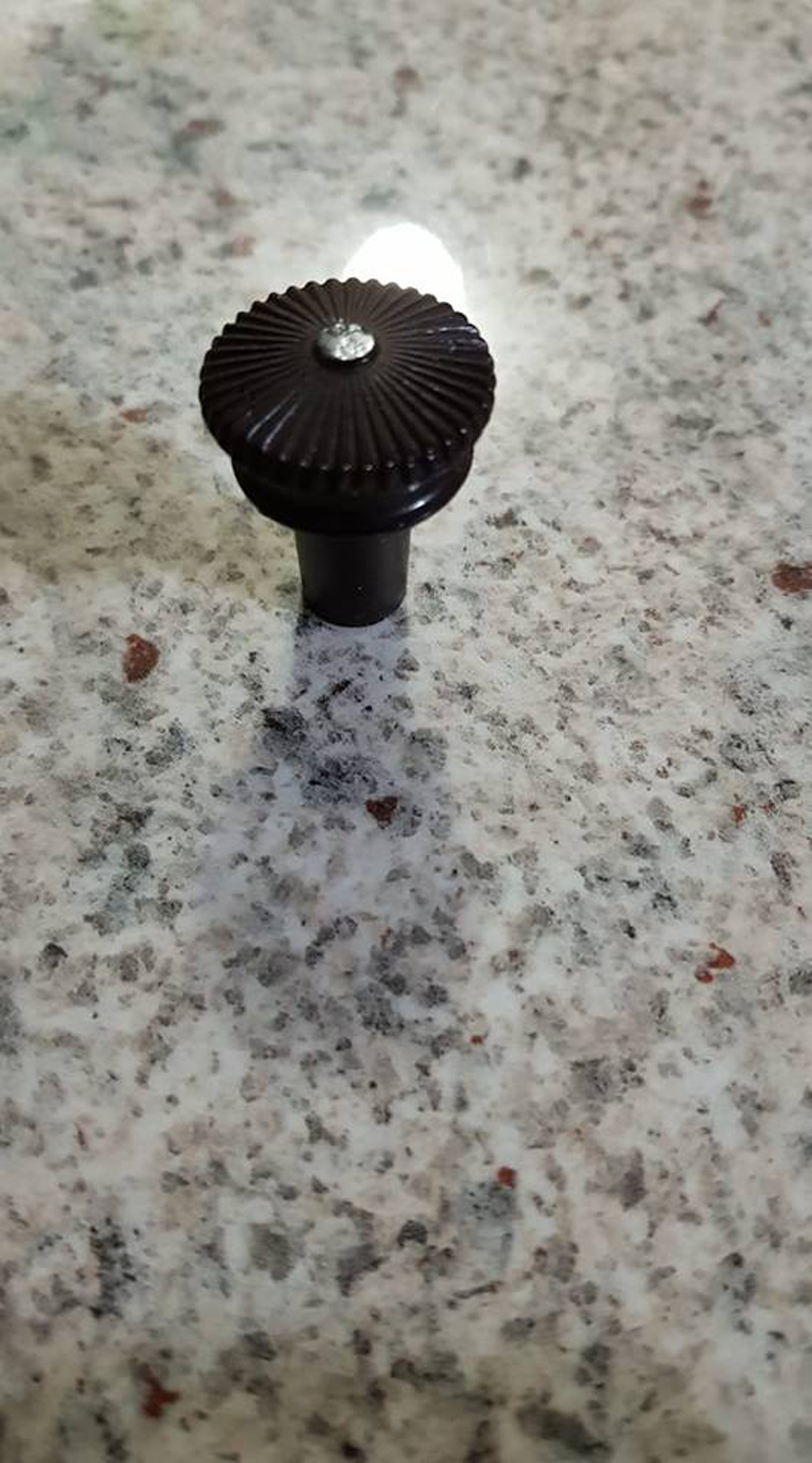 Astor Mickey OZ Knob